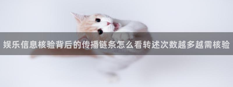 黑料证据梳理