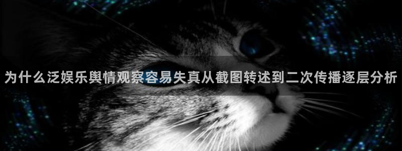 娱乐黑料真伪核验