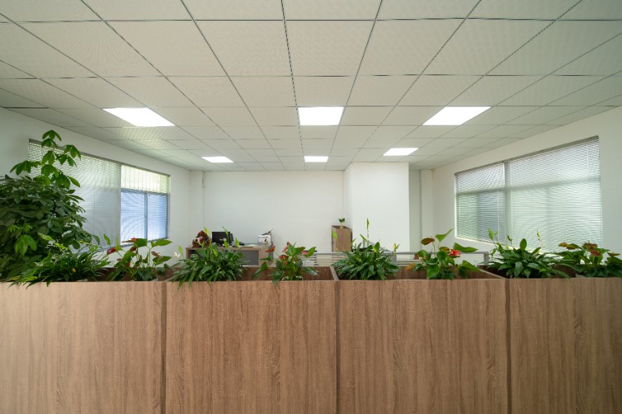 Company Environment