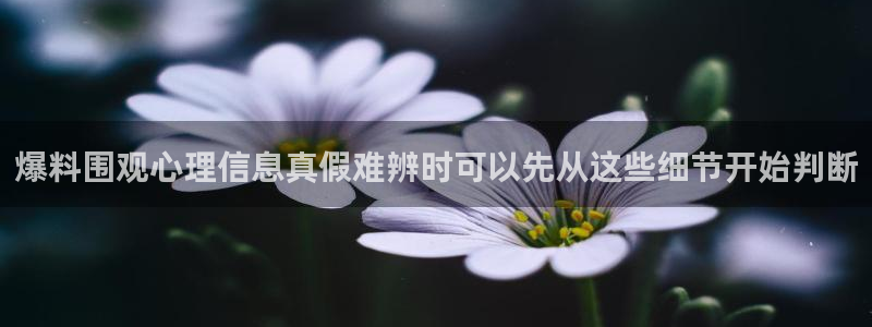 黑料事件证据梳理