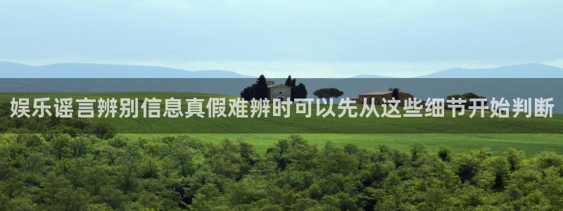 职场黑料真伪核验