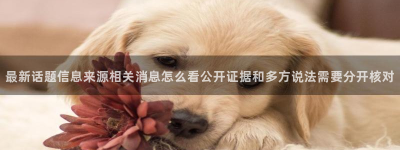 黑料完整时间线