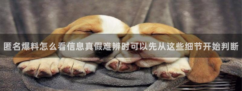 明星黑料证据梳理