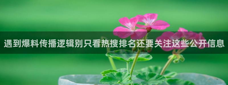 热门黑料完整时间线