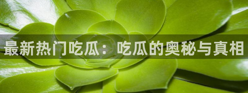 黑料曝光最新消息