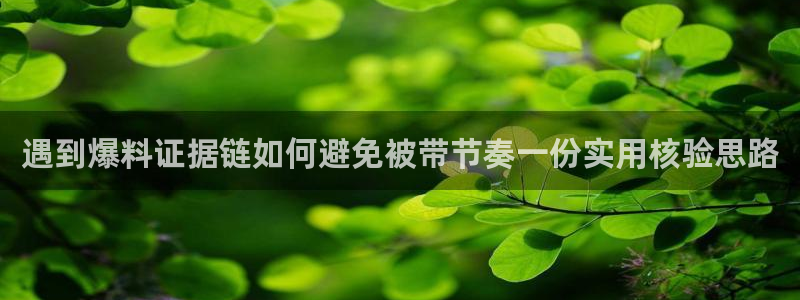 娱乐黑料证据梳理