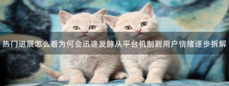 娱乐黑料完整时间线