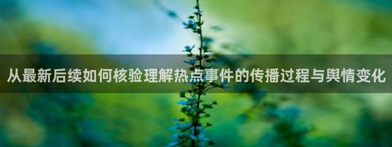 网络黑料最新消息