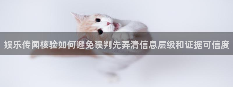 独家黑料真伪核验